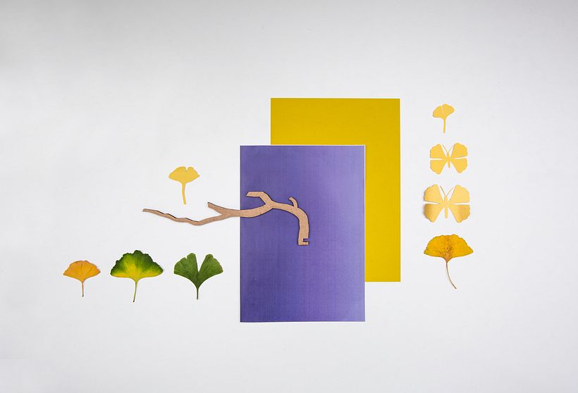 Die Schmetterlinge von Ginkgo Biloba 5