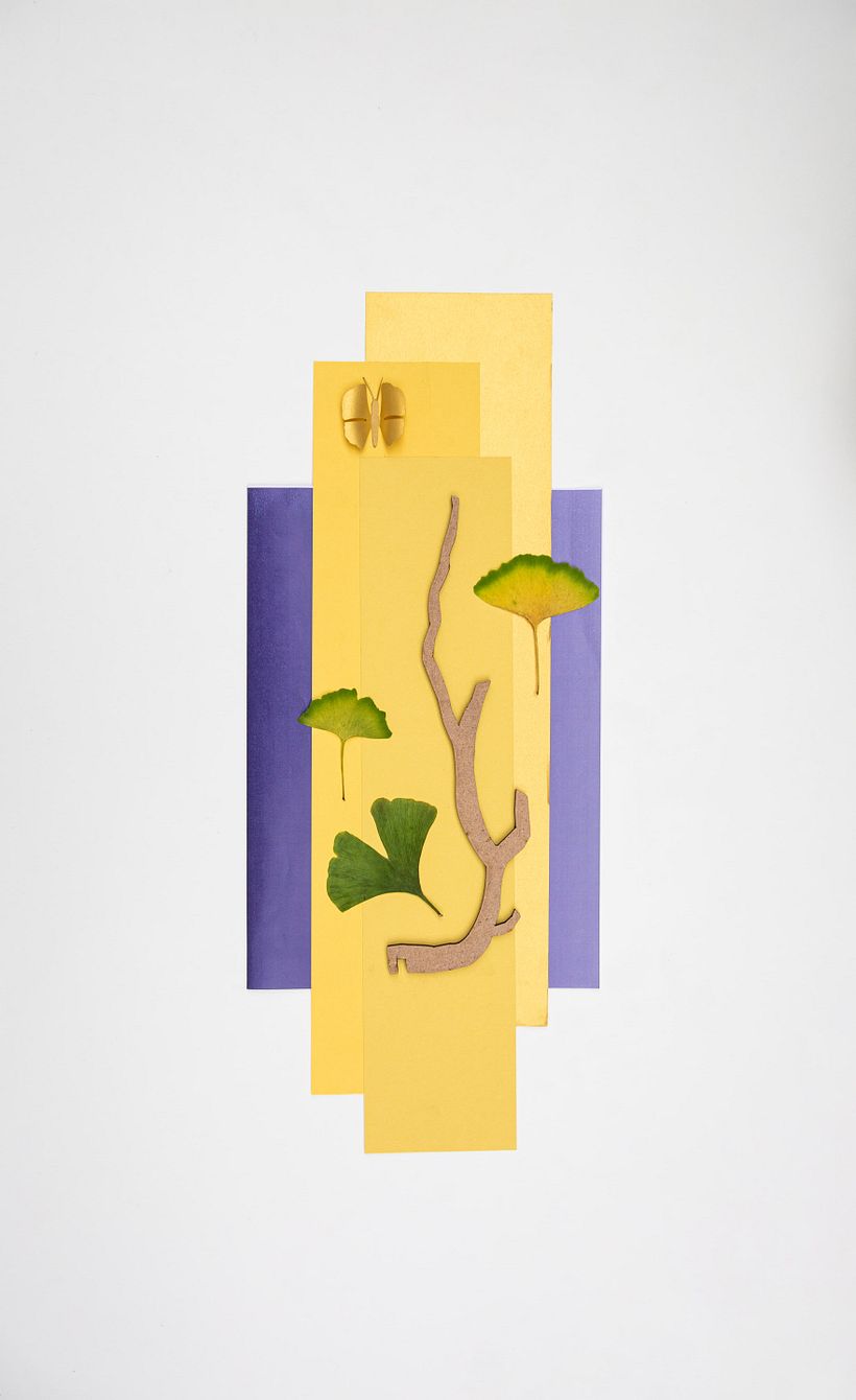 Die Schmetterlinge von Ginkgo Biloba 6