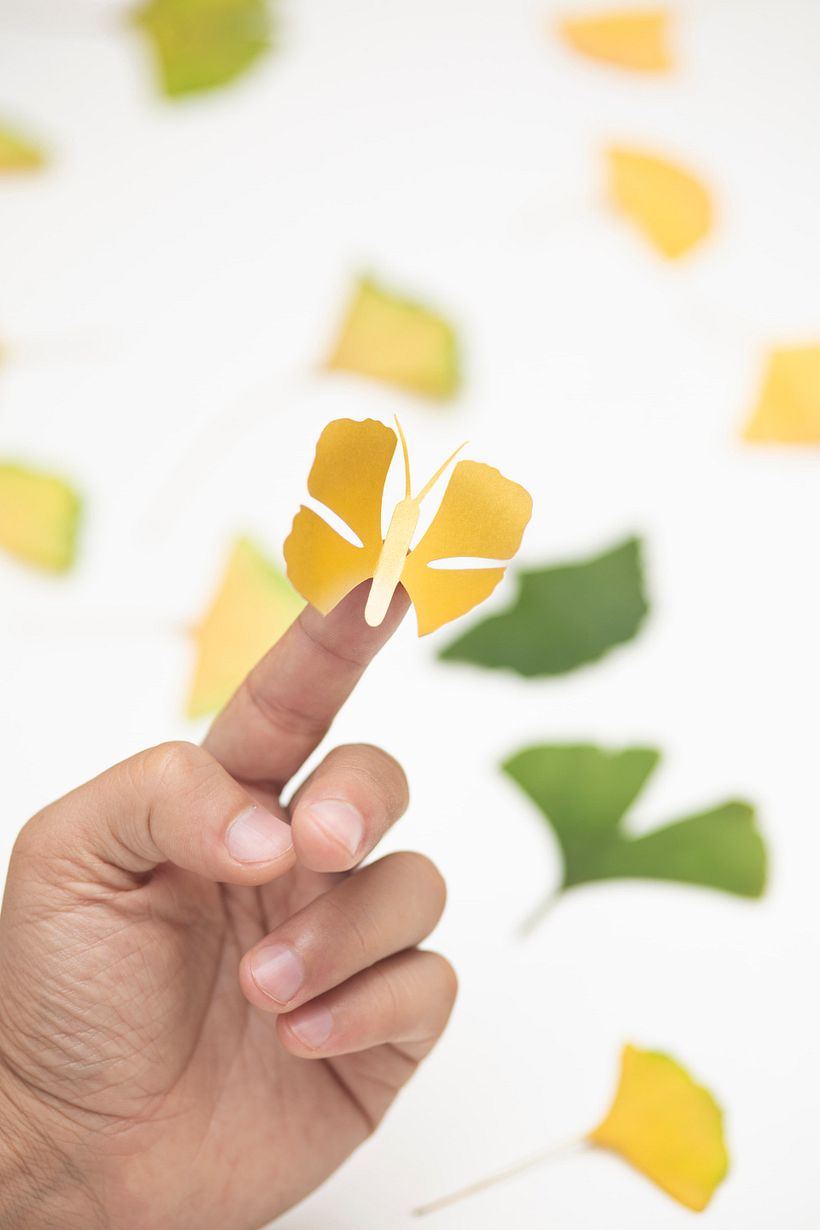 Die Schmetterlinge von Ginkgo Biloba 8