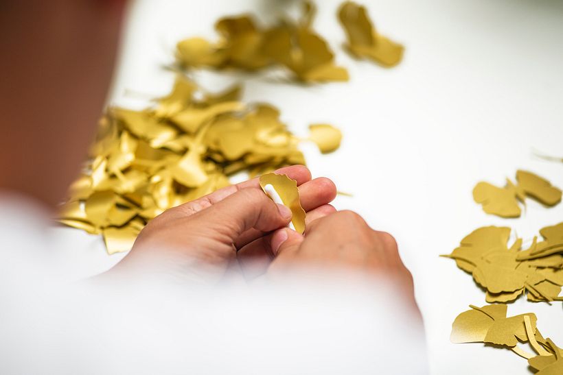 Die Schmetterlinge von Ginkgo Biloba 9