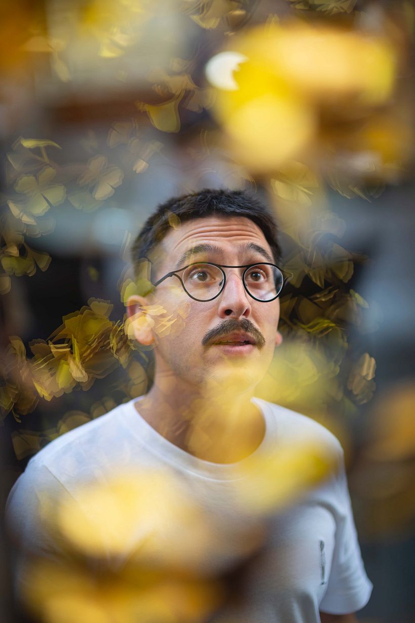 Die Schmetterlinge von Ginkgo Biloba 12