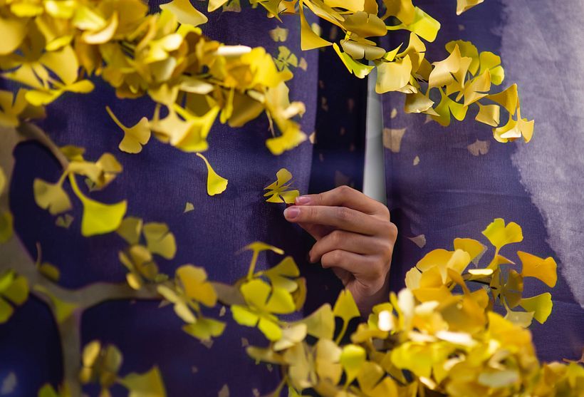 Die Schmetterlinge von Ginkgo Biloba 13
