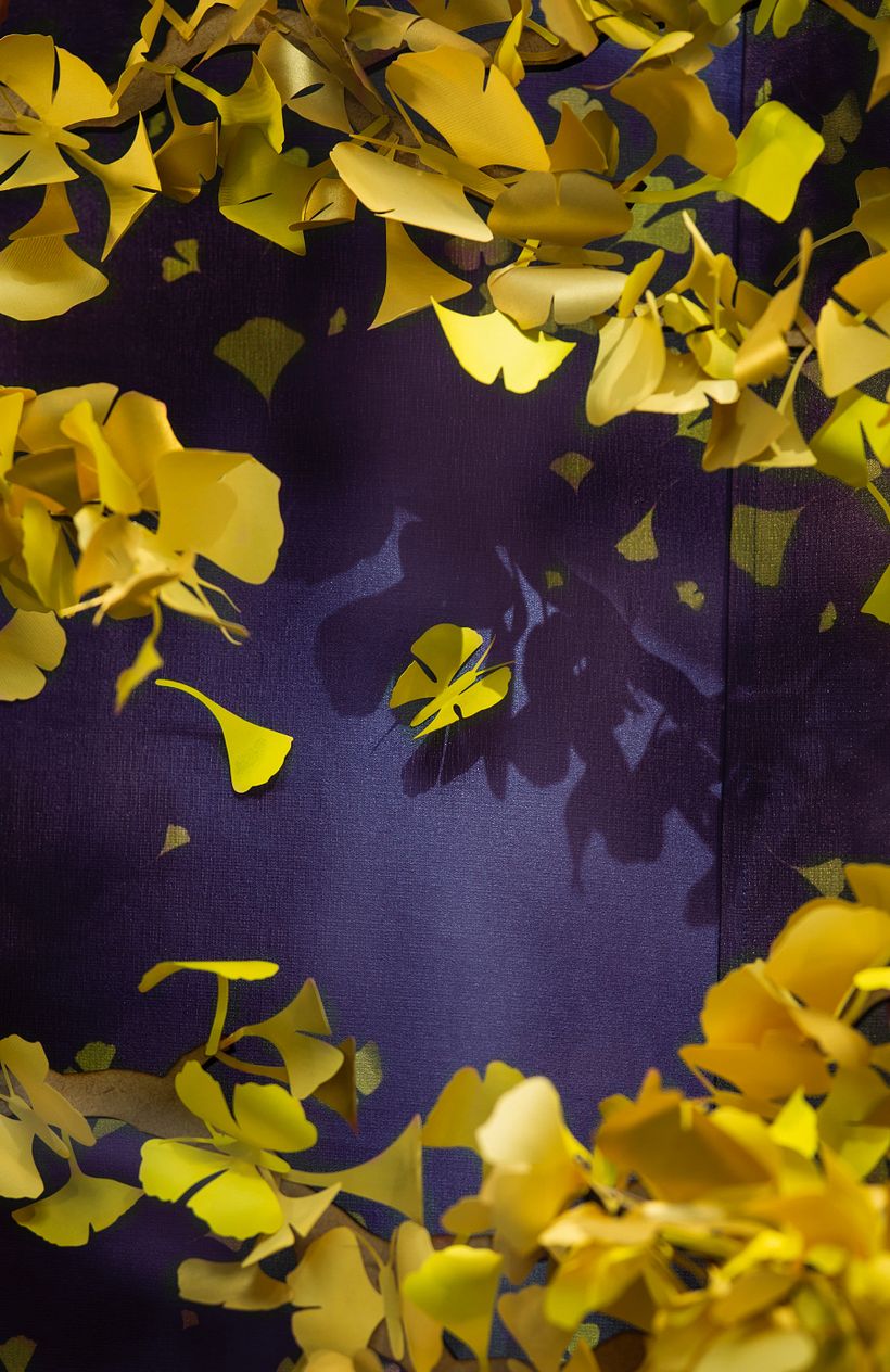 Die Schmetterlinge von Ginkgo Biloba 15