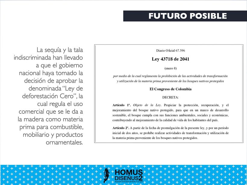 Parametro artesanía 3D 7