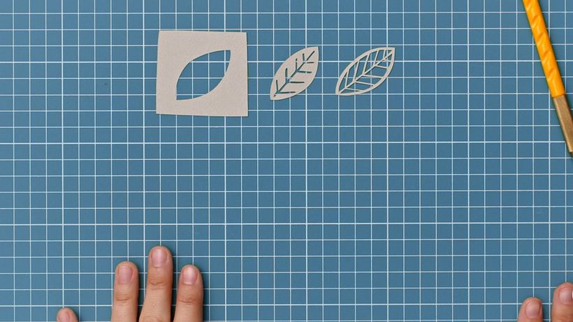 Opciones de manejo de positivos y negativos. 