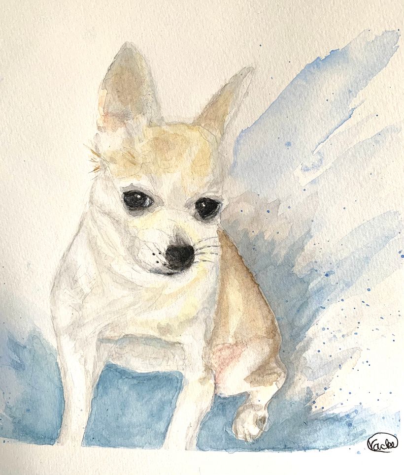 Chihuahua splashing in a puddle    Sarah’s feedback Using Winsor newton indigo At the bottom of the picture made difference.