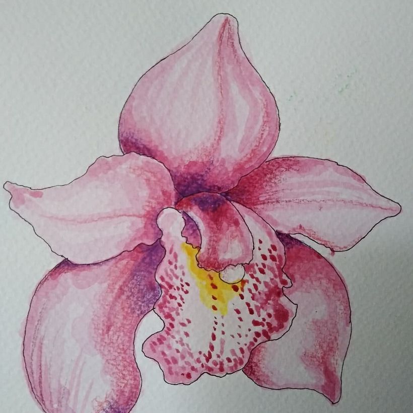 Mi Proyecto del curso: Sketchbook botánico: una aproximación meditativa 4