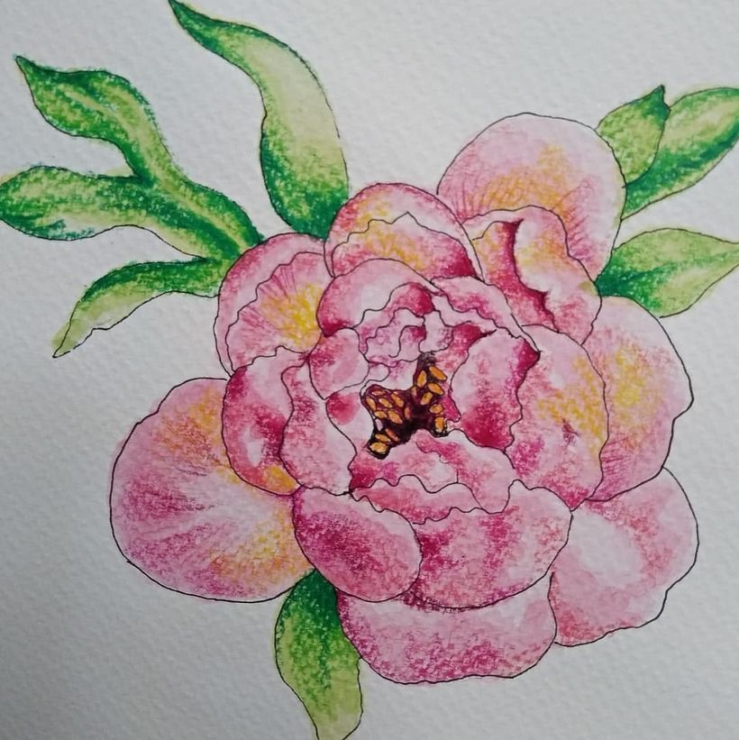 Mi Proyecto del curso: Sketchbook botánico: una aproximación meditativa 4