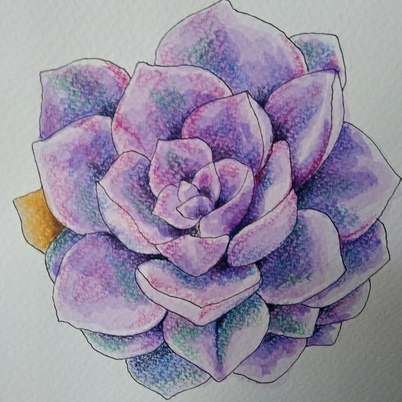 Mi Proyecto del curso: Sketchbook botánico: una aproximación meditativa 5