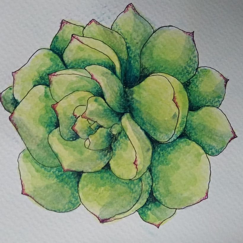Mi Proyecto del curso: Sketchbook botánico: una aproximación meditativa 6