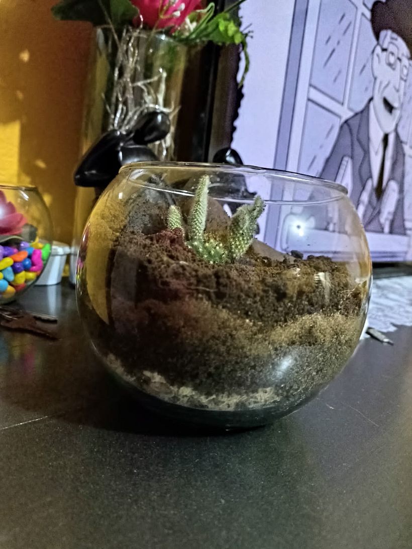 Mi Proyecto del curso: Arte vegetal: crea tu propio terrario abierto 1