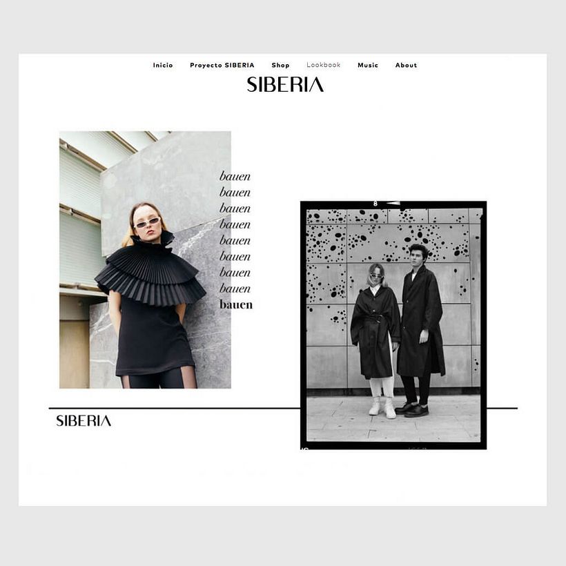 Proyecto Siberia - Actualización pagina web