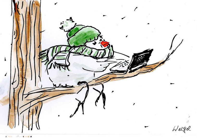Komische Vögel II 4