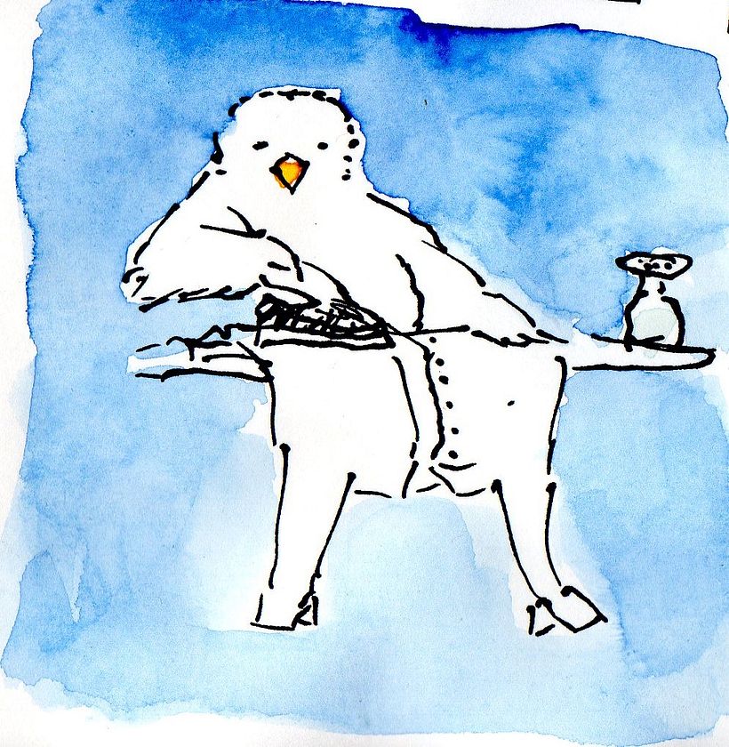 Komische Vögel II 11
