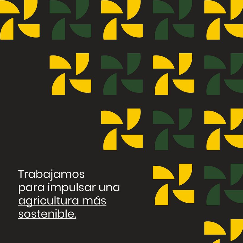 Sermi: Rebranding 12