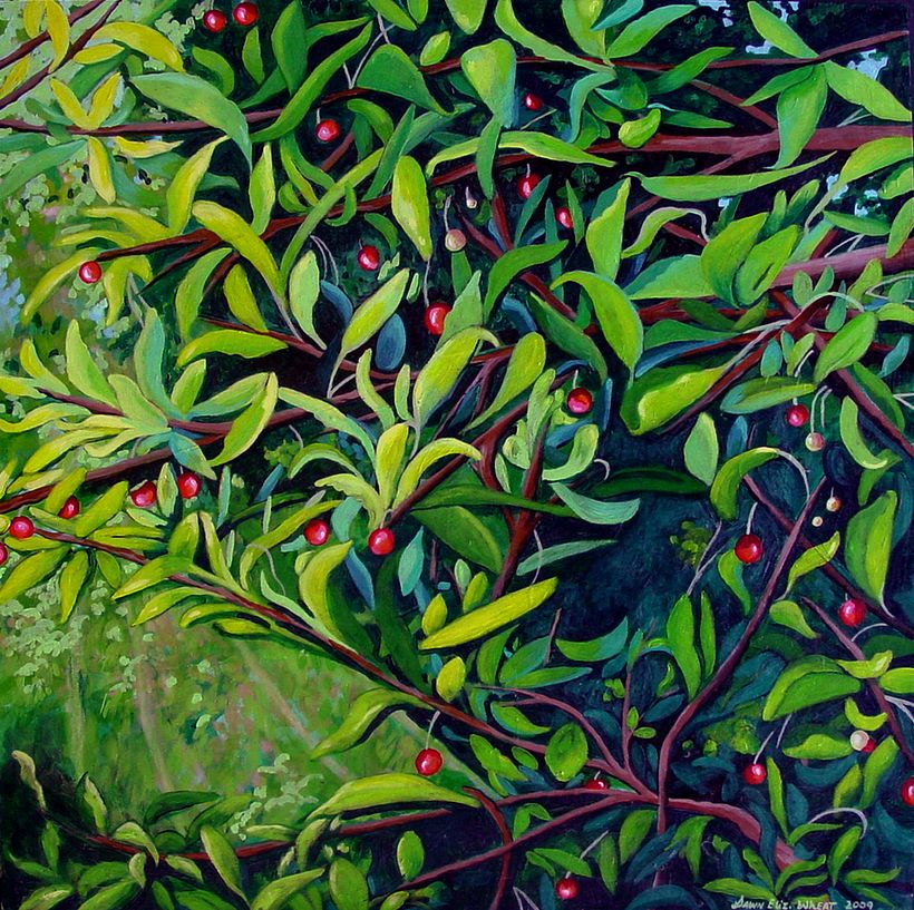 Paintings 4