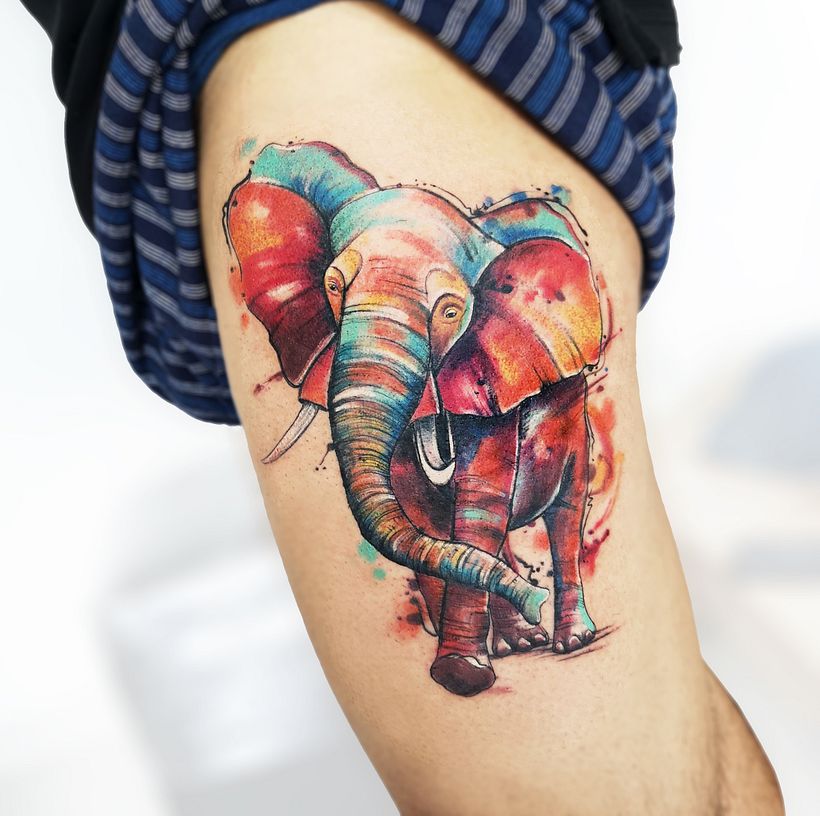 Animales  7