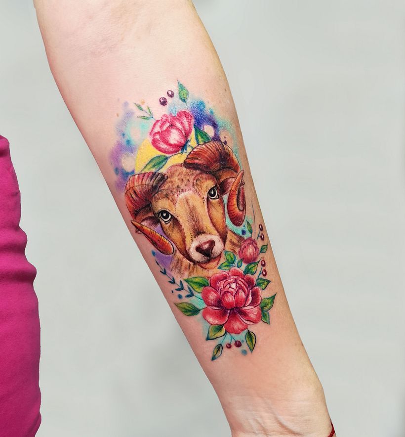 Animales  9