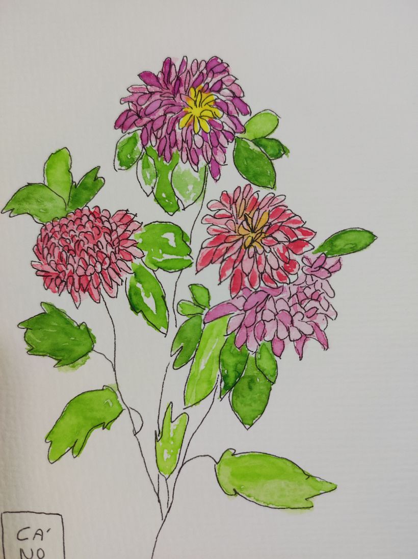 Mi Proyecto del curso: Sketchbook botánico: una aproximación meditativa 2