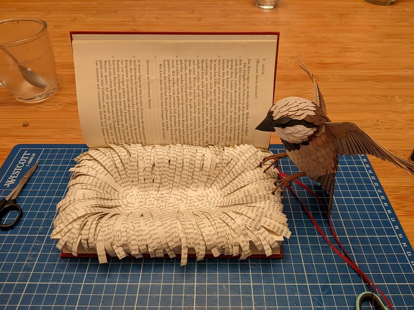 Mój projekt z kursu: Zaawansowane techniki papierowe: projektowanie z papieru 11