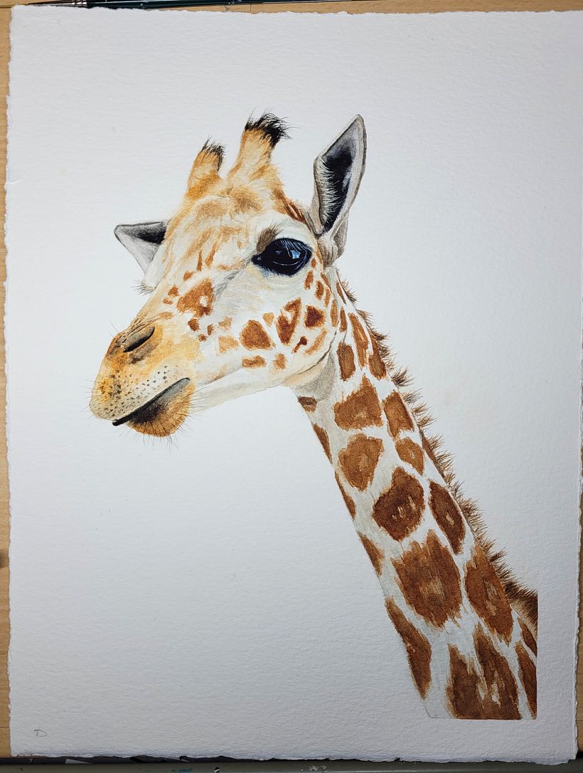 My project in Expressive Animal Portraits in Watercolor course - Giraffe 4