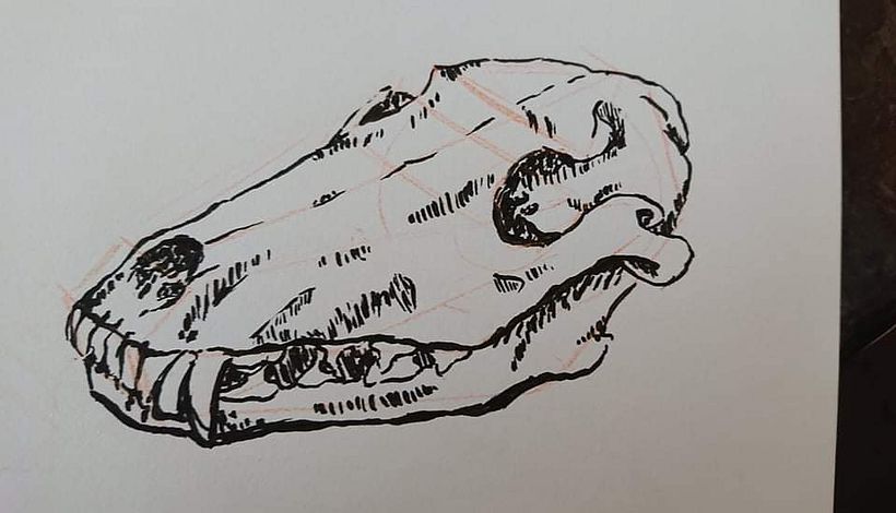 First thing I drew on my journey back into drawing