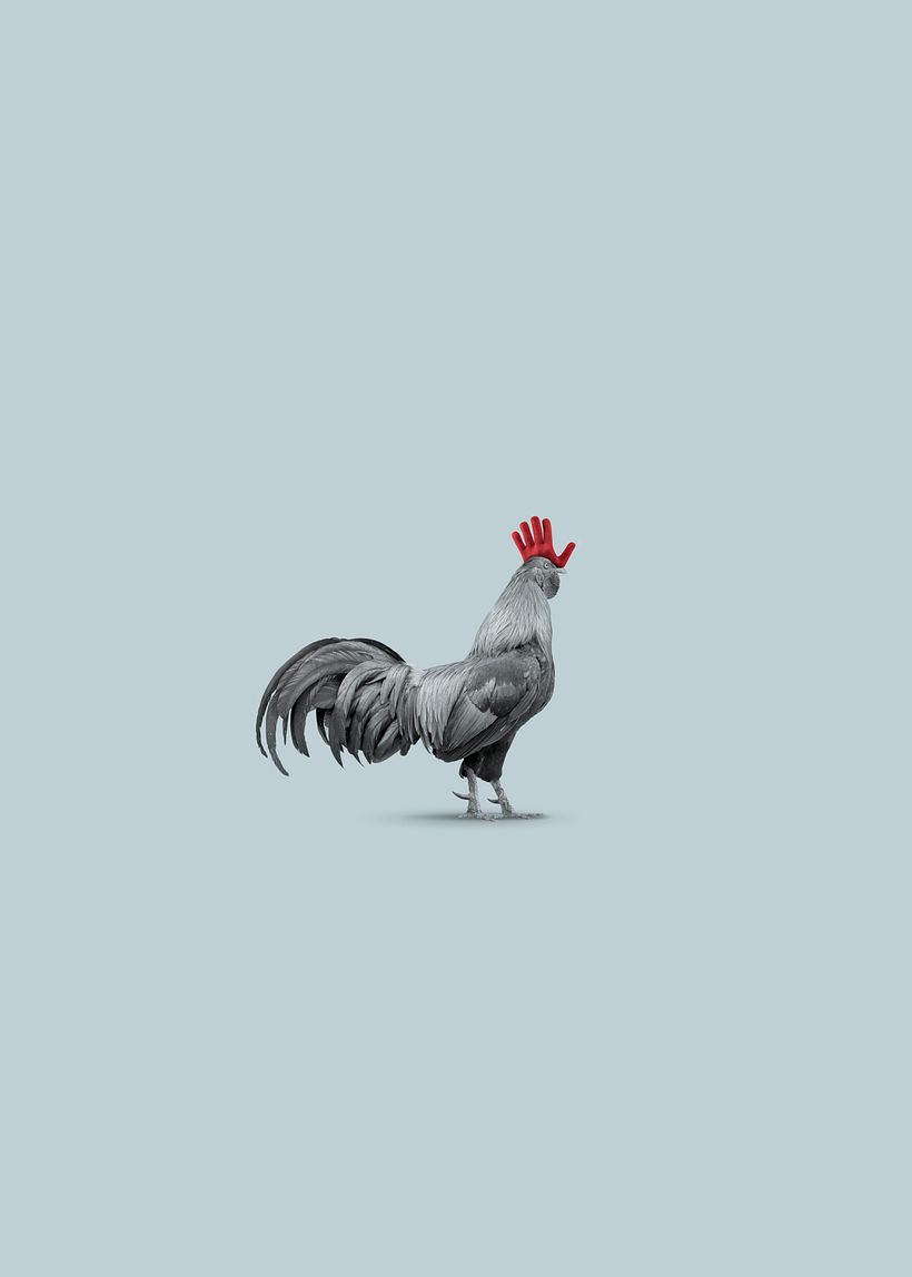 Otoño e Invierno en Corral de García (El Gallo y la Hoja; El Gallo y el Guante) 2