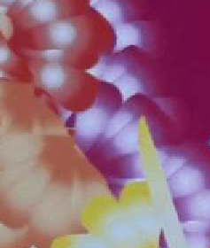 Necesito saber como repdroducir este tipo de degradados con illustrator CC 1
