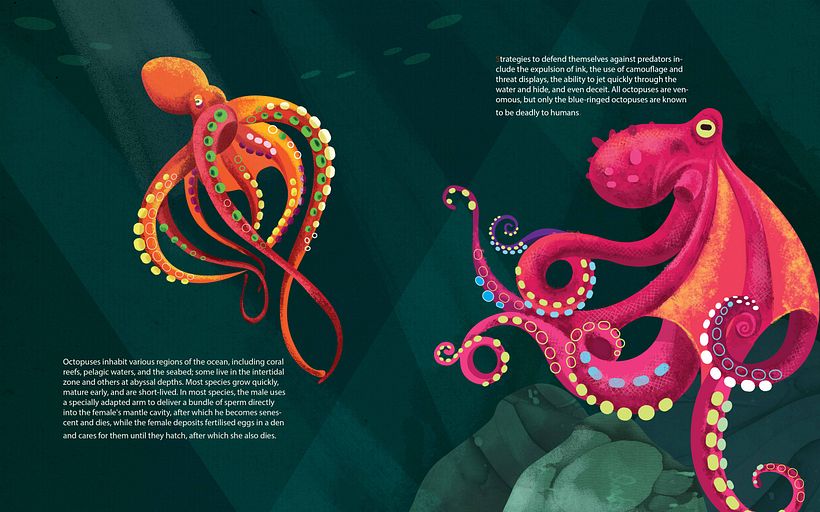 My project in Wildlife Illustration for Children's Books course 6