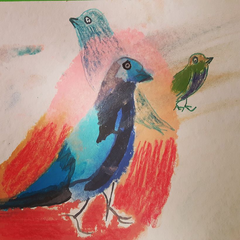 Palomas 🕊 