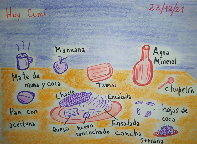 El proceso que experimente en  "Mi diario Ilustrado" 12