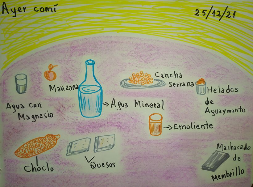 El proceso que experimente en  "Mi diario Ilustrado" 13