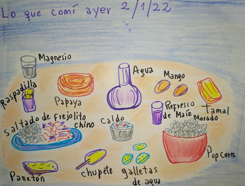 El proceso que experimente en  "Mi diario Ilustrado" 15