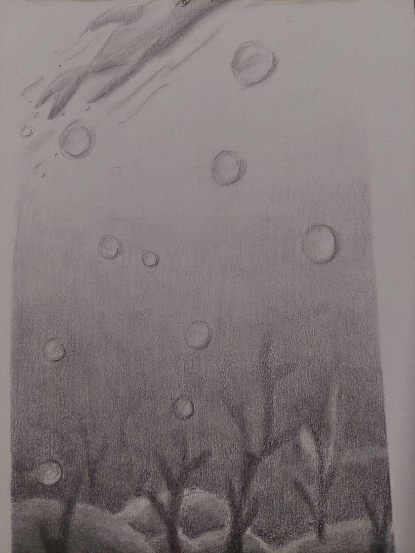 Mi Proyecto del curso: Técnicas de ilustración artística con grafito 4