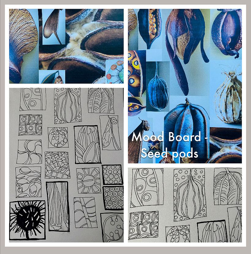 Mood board - Seed pods and natural patterns
