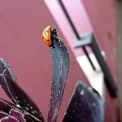 Marta_portfolio iniziale 1