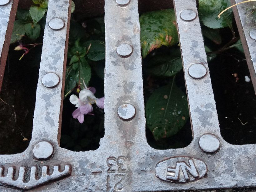 Marta_portfolio iniziale 5