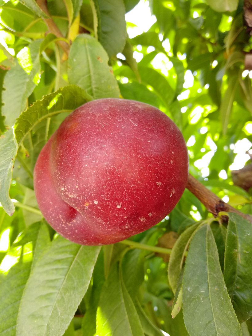 Marta_portfolio iniziale 8