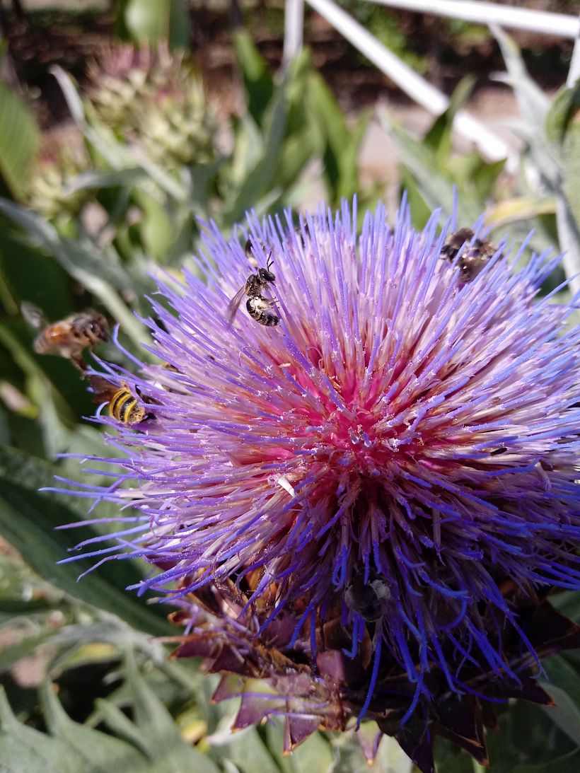 Marta_portfolio iniziale 9