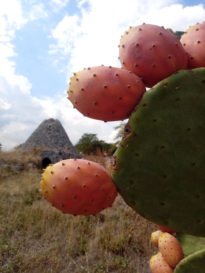 Marta_portfolio iniziale 10