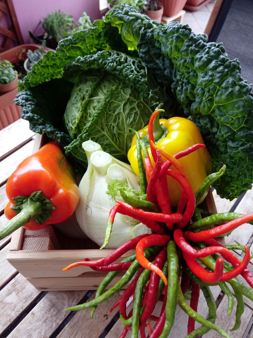 Marta_portfolio iniziale 11