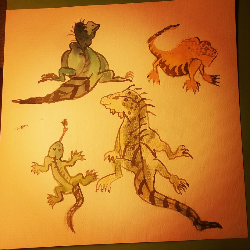 Iguanas 