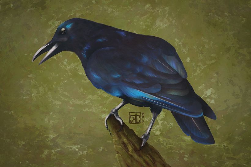 Blue Raven. Digital painting  1