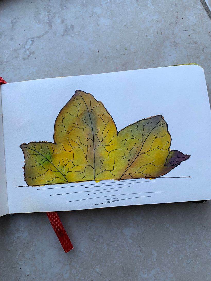 My project in Negative Watercolor Painting for Botanical Illustration course 4