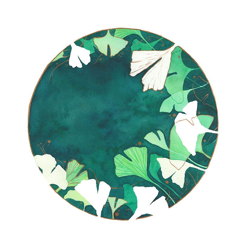 Gingkos