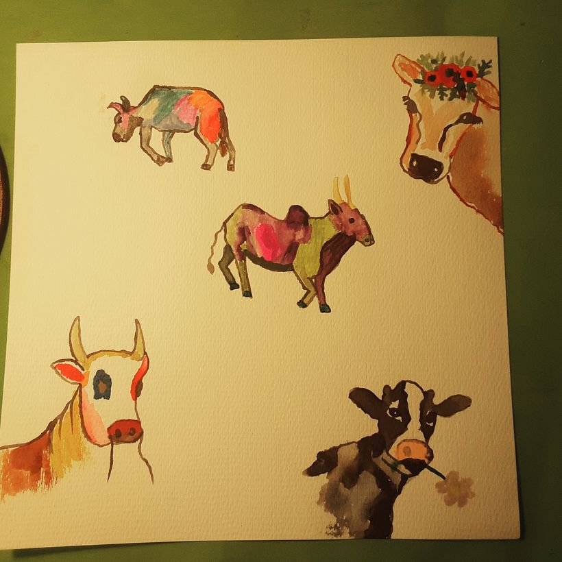 Vacas y cebu pintorescas 