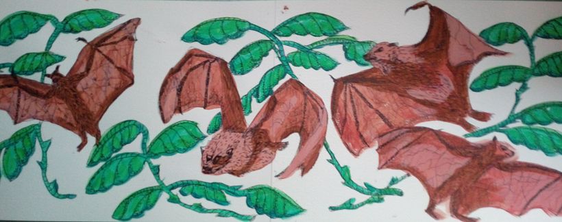 More practise, bats and plants.