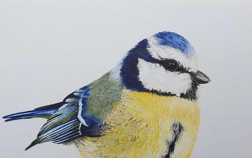 My project in Daily Sketching for Creative Inspiration course 4