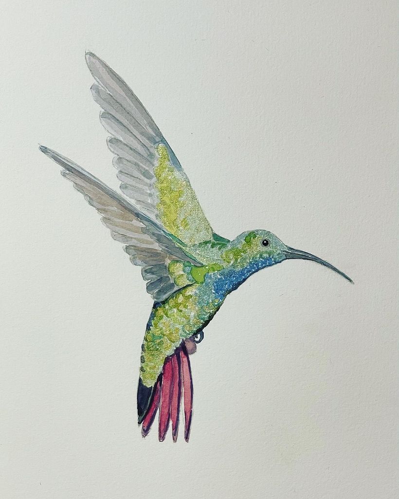 My project in Naturalist Bird Illustration with Watercolors course 1