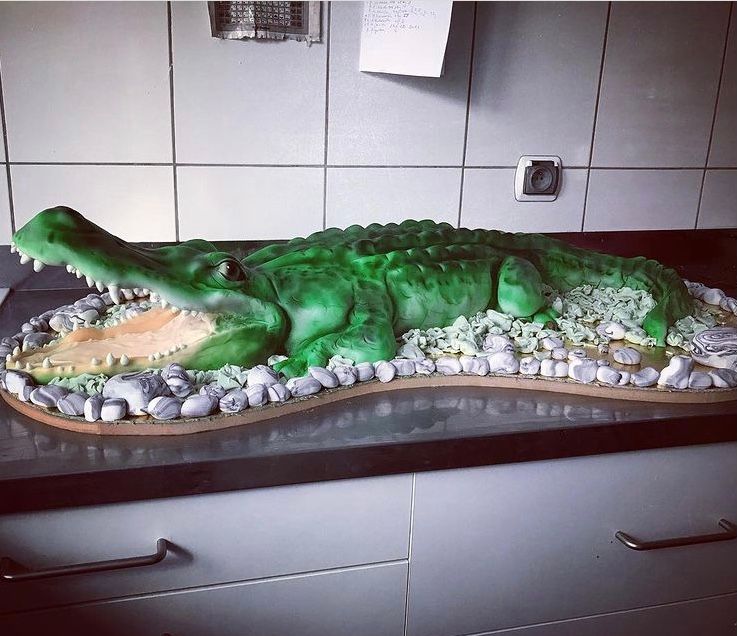 Aligator Cake 
